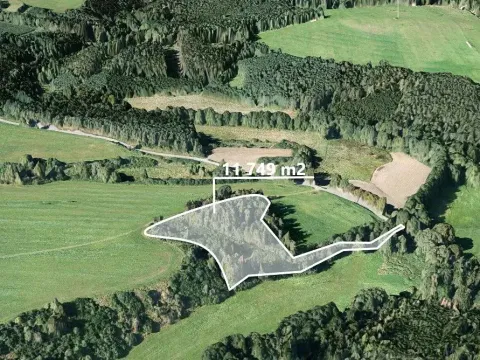 Prodej lesa, Svojšín, 11749 m2