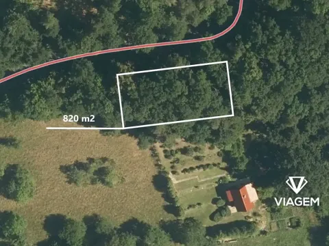 Prodej lesa, Milenov, 820 m2