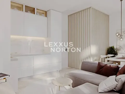 Prodej bytu 1+1, Praha - Nové Město, Wenzigova, 47 m2