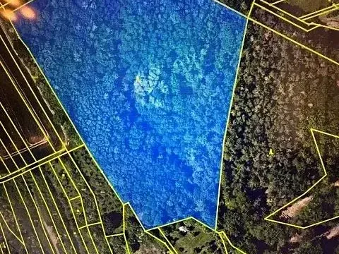 Prodej lesa, Březolupy, 29958 m2