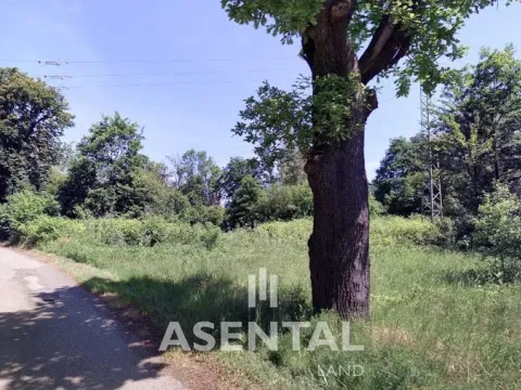 Prodej komerčního pozemku, Karviná - Doly, Sovinecká, 114814 m2