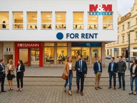 Pronájem obchodního prostoru, Plzeň - Vnitřní Město, Solní, 182 m2