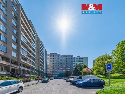 Pronájem bytu 1+kk, Příbram - Příbram VIII, Čechovská, 26 m2