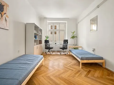Pronájem pokoje, Brno, Starobrněnská, 22 m2