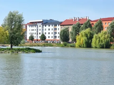 Prodej bytu 1+kk, Hranice, Jiřího z Poděbrad, 36 m2