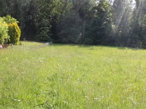 Dražba louky, Dolní Dobrouč, 4634 m2