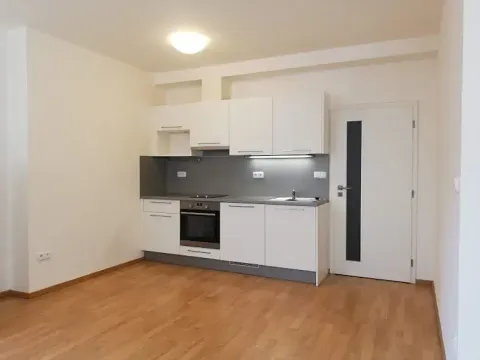 Pronájem bytu 1+kk, Praha - Vršovice, Karpatská, 38 m2