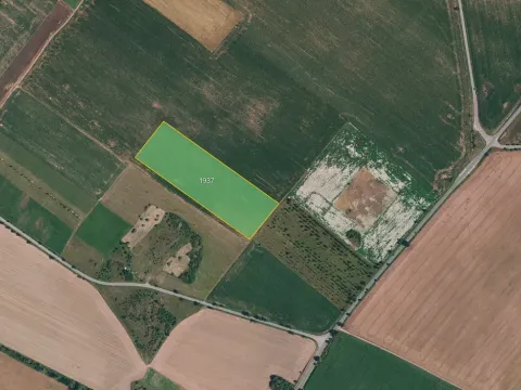 Prodej pole, Znojmo, 12769 m2