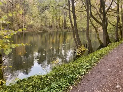 Prodej rybníku, Votice, 2482 m2