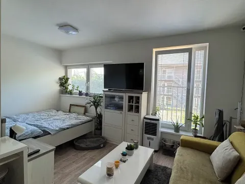 Pronájem bytu 1+kk, Svémyslice, 30 m2