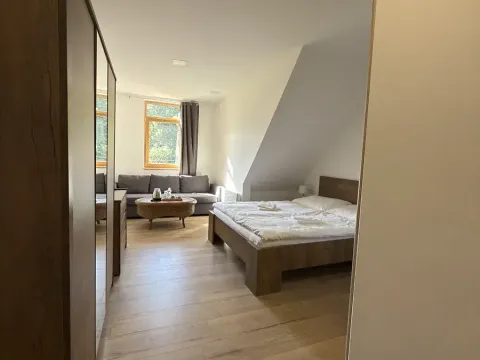 Prodej bytu 1+kk, Horní Lhota, 20 m2