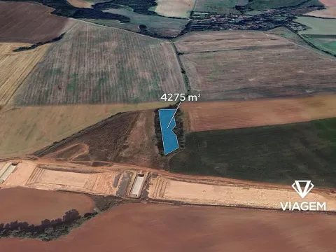 Prodej podílu lesa, Hořesedly, 1425 m2