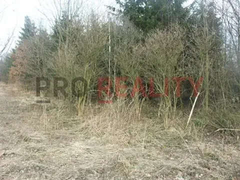 Prodej lesa, Tísek, 4998 m2