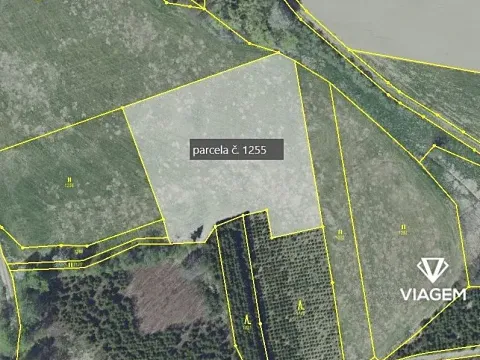 Prodej podílu pole, Zbraslavice, 3888 m2