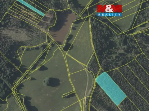 Prodej lesa, Mrákotín, 7873 m2