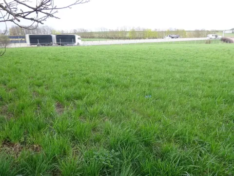 Prodej komerčního pozemku, Stránecká Zhoř - Kochánov, 2295 m2