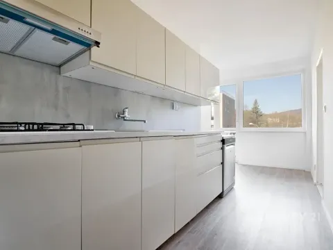 Pronájem bytu 3+1, Děčín, Slezská, 89 m2