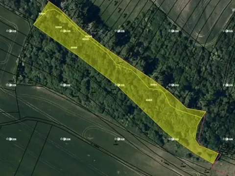 Prodej pole, Vyškov, 7855 m2