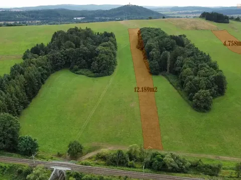 Prodej pole, Srby, 44796 m2