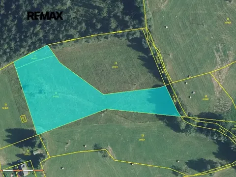 Prodej pozemku pro bydlení, Borová, 5776 m2