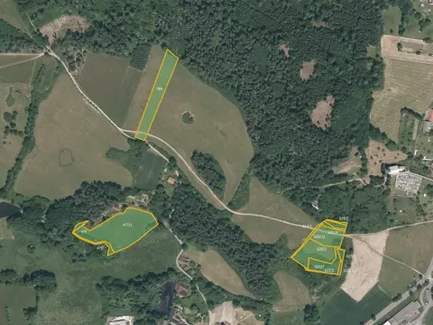 Prodej louky, Pačejov, 13638 m2