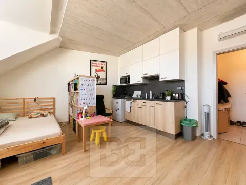 Pronájem bytu 1+kk, Brno, 38 m2