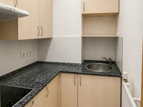 Pronájem bytu 1+kk, Plzeň, Kardinála Berana, 28 m2