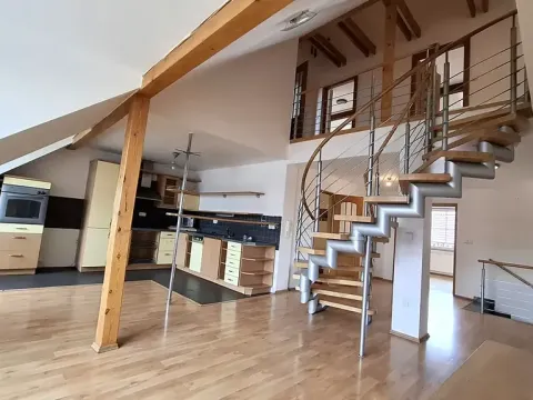 Pronájem bytu 4+kk, Plzeň, Přemyslova, 180 m2