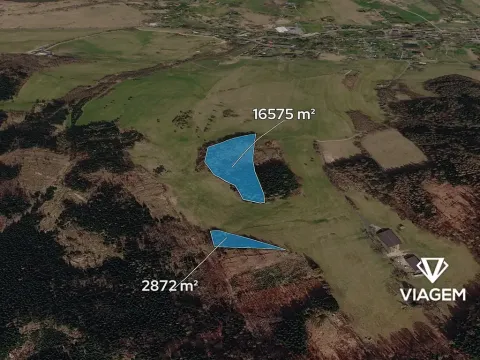 Prodej podílu lesa, Horní Podluží, 3241 m2