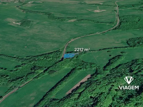 Prodej lesa, Ženklava, 2212 m2