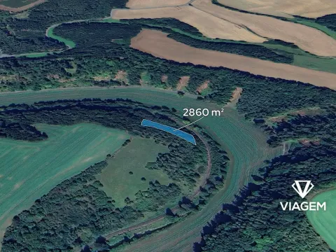 Prodej lesa, Radkov, 2860 m2