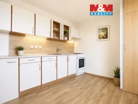 Prodej bytu 1+1, Ostrava - Hrabůvka, Dr. Martínka, 38 m2