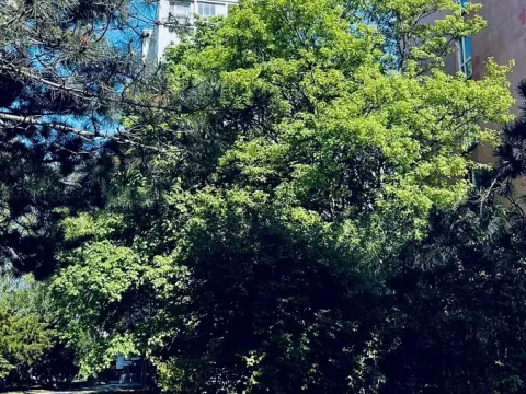 Pronájem bytu 2+kk, Praha - Kobylisy, Taussigova, 48 m2