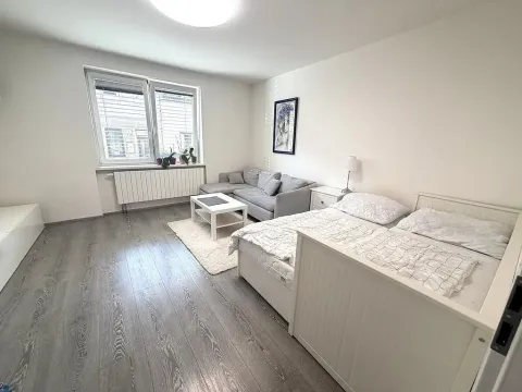 Pronájem bytu 1+1, Brno - Královo Pole, Hrubého, 42 m2