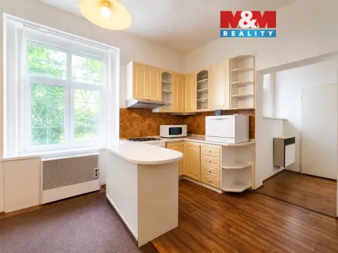 Prodej bytu 1+1, Praha - Vysočany, Na břehu, 43 m2