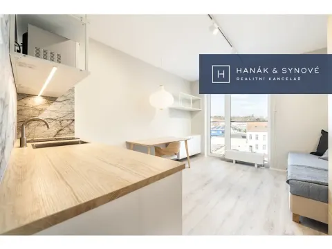 Pronájem bytu 1+kk, Brno, Chaloupkova, 22 m2