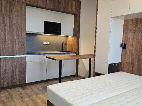 Pronájem pokoje, Praha - Michle, Na úlehli, 48 m2