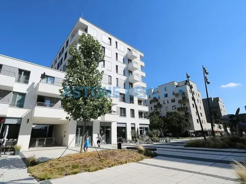 Pronájem bytu 2+kk, Praha - Jinonice, Walterovo náměstí, 55 m2
