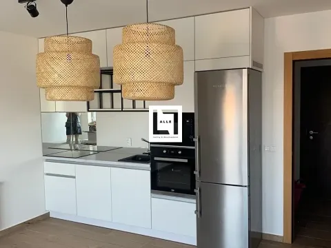 Pronájem bytu 2+kk, Olomouc, Třída Jiřího Pelikána, 60 m2