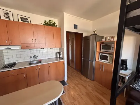 Prodej bytu 1+kk, Praha - Záběhlice, Jabloňová, 24 m2