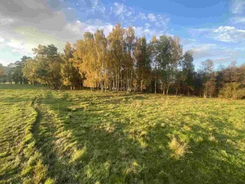Prodej pole, Cvikov - Trávník, 7516 m2