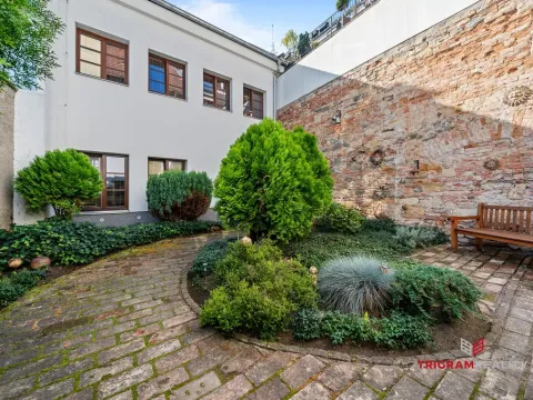 Pronájem bytu 1+kk, Hradec Králové, Dlouhá, 25 m2