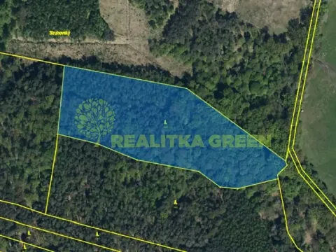 Prodej lesa, Sopřeč, 20160 m2
