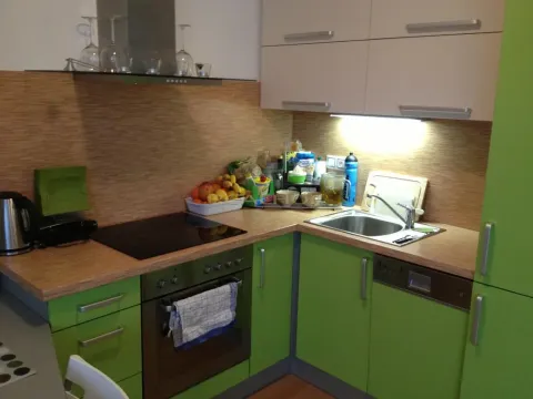 Pronájem bytu 1+kk, Brno - Žabovřesky, Horova, 31 m2