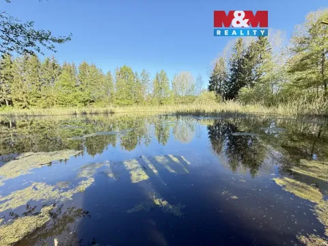 Prodej rybníku, Rychnov nad Kněžnou - Lipovka, 5963 m2