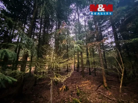 Prodej lesa, Blížejov, 6627 m2