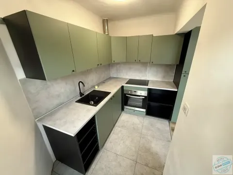Pronájem bytu 4+1, Opava, Zacpalova, 92 m2