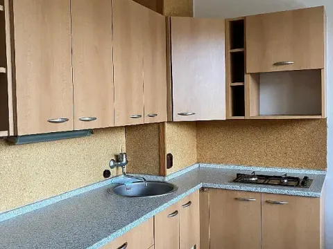 Prodej bytu 1+1, Chomutov, Holešická, 42 m2