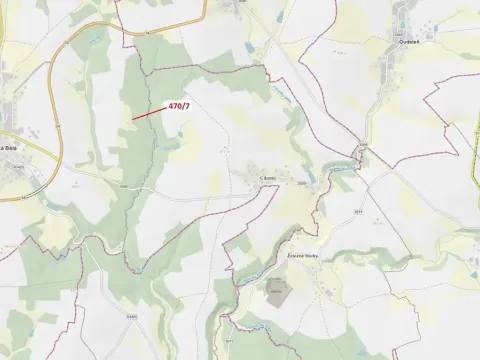 Dražba lesa, Česká Bělá, 90 m2