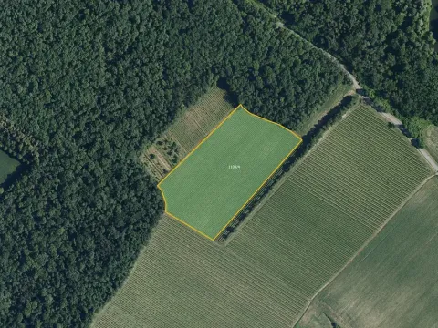 Prodej sadu/vinice, Bulhary, 63228 m2